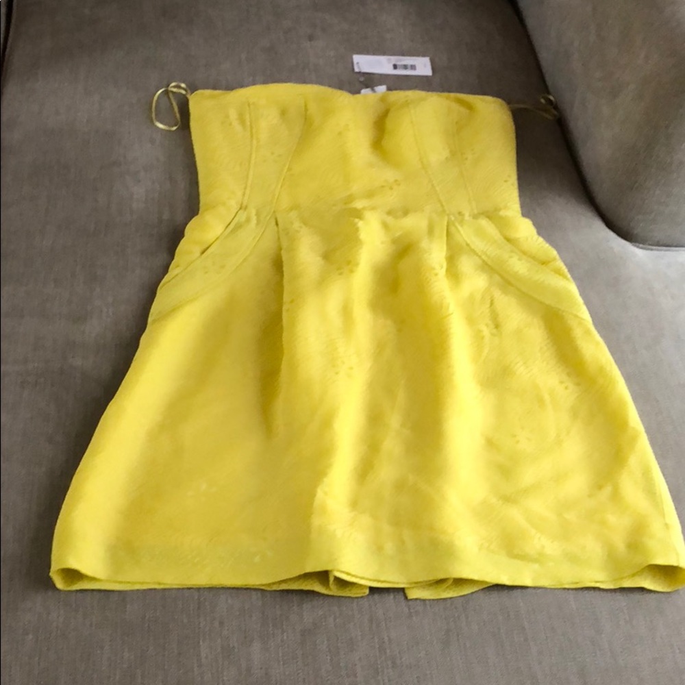 Gorgeous Rebecca Taylor Dress